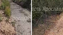 «Запах тухлятины такой, что поплохело»: в Ярославском районе обнаружили яму с отходами, впадающую в реку