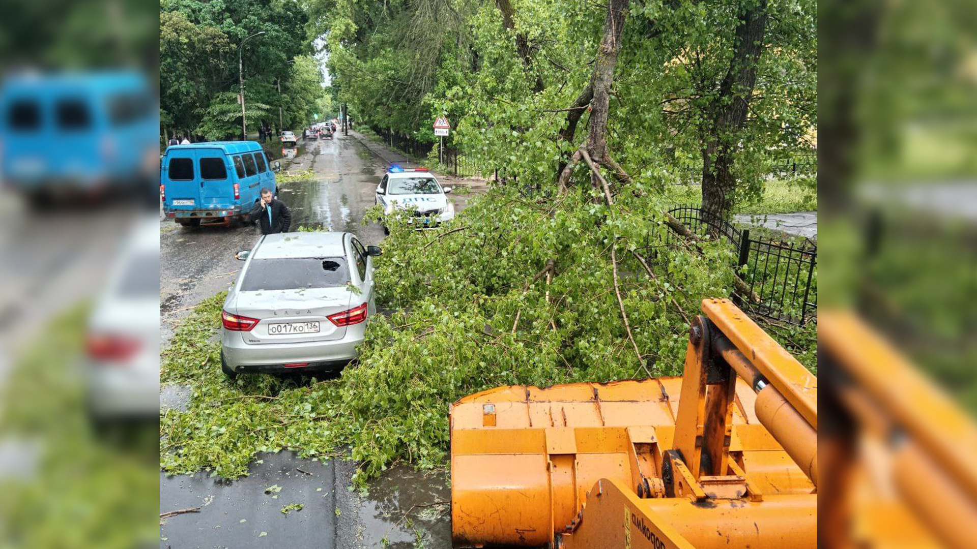 Из-за урагана в Воронеже упали больше 30 деревьев