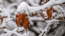 Север Приморья продолжает заваливать снегом — видео