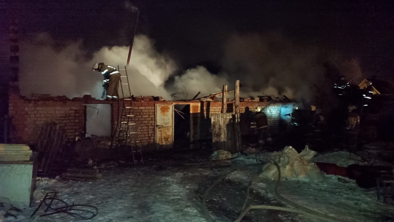 Сгорели заживо: во время пожара в Самарской области погибли <nobr class="_">13 щенков</nobr> и котят