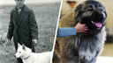 Каких собак показывали на выставках в Кургане 60 лет назад? Сравниваем с современными