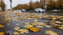 Октябрь, что за шутки и где снег? В Волгограде и области пообещали резкое потепление с диким ветром