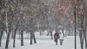 Местами до -18 градусов: в Новосибирске до конца недели ожидают перепады температур и снегопады