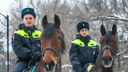 «Работа физически очень сложная». Как работает и для чего нужна конная полиция в Москве
