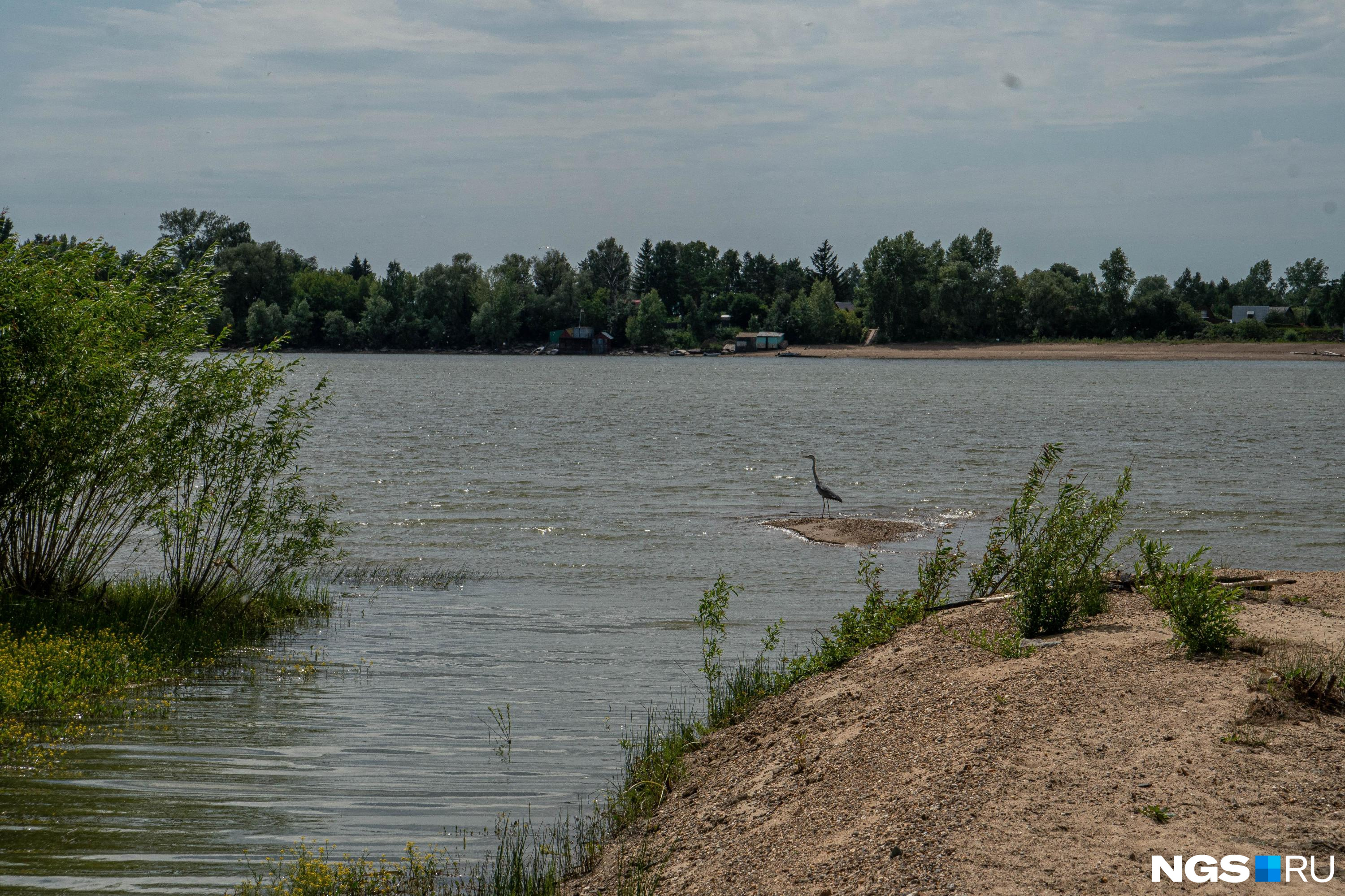 Пропавший контрактник найден мертвым под Новосибирском — его обнаружили в реке