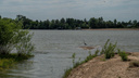 Пропавший контрактник найден мертвым под Новосибирском — его обнаружили в реке