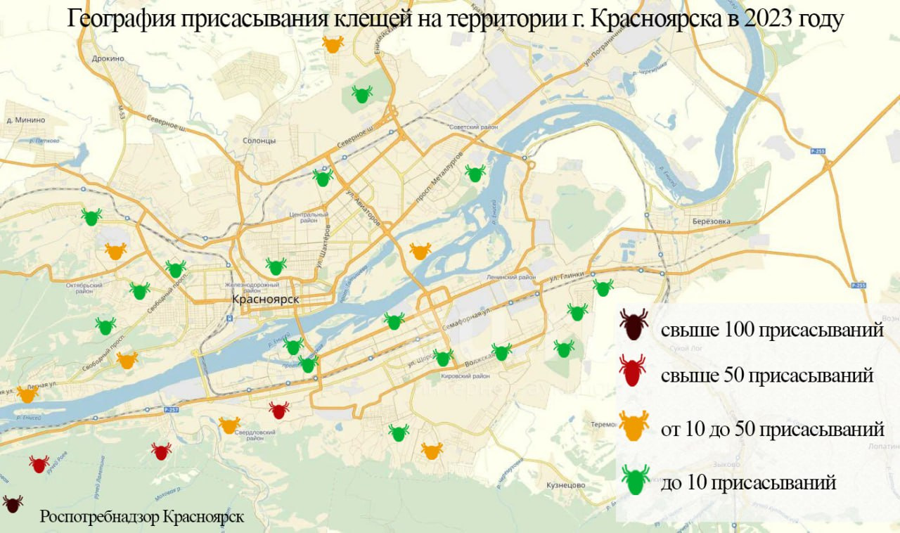 Карта клещевой активности в россии