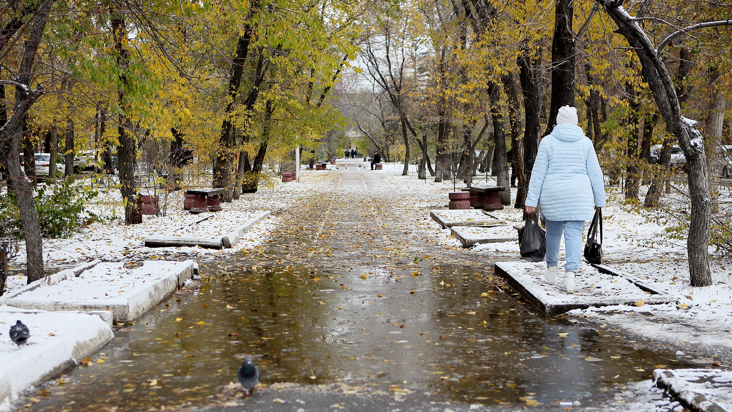 Как снег на голову: фоторепортаж с запорошенных омских улиц