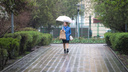 Ливни и гроза придут в Ростовскую область: прогноз погоды