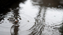 «Высокая влажность, барометры, наоборот, падают»: в Саратовской области дожди будут идти вплоть до воскресенья