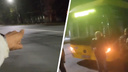 «Водитель вышел за кофе»: в центре Ярославля неуправляемый автобус въехал в легковушку. Видео