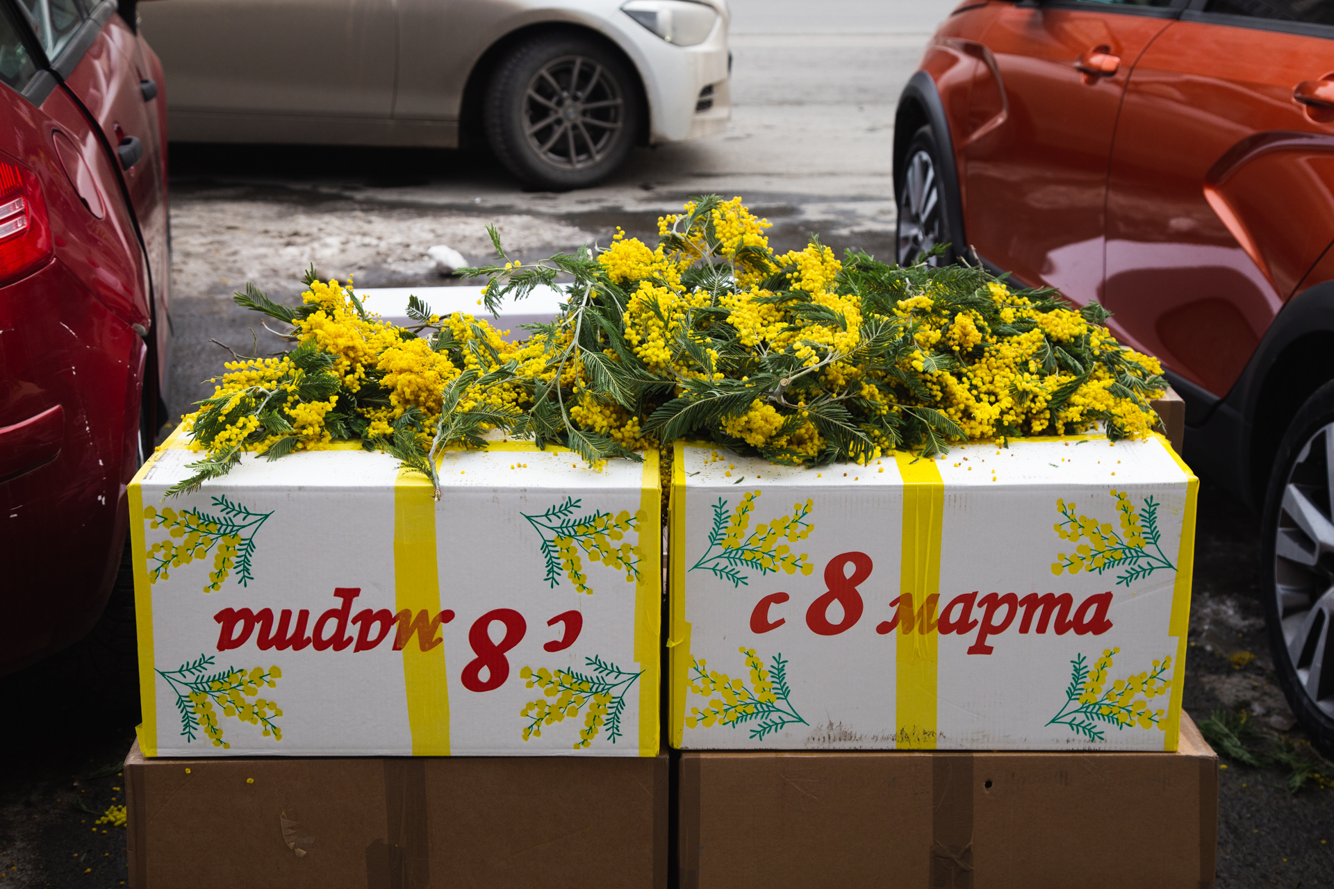 Зато на выходе всех желающих ждут тюльпаны и мимоза. Их продают по 90–100 рублей за штуку. Говорят, завтра будет дороже