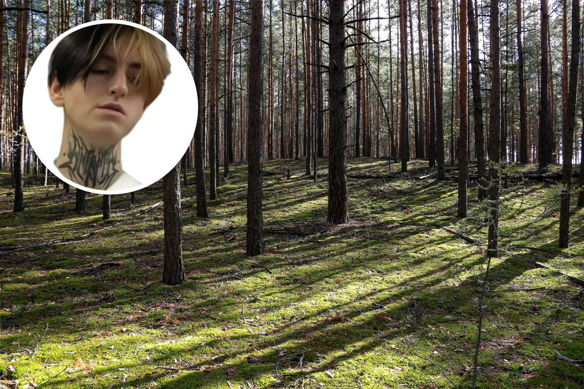В лесу под Семёновом нашли мертвым 18-летнего парня, пропавшего четыре месяца назад