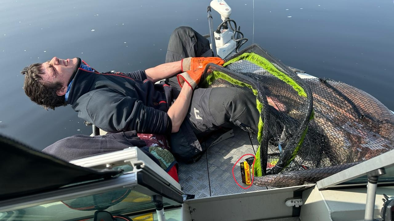 «Сдавил руку до хруста костей»: самарские рыбаки поймали сома весом 54 кг