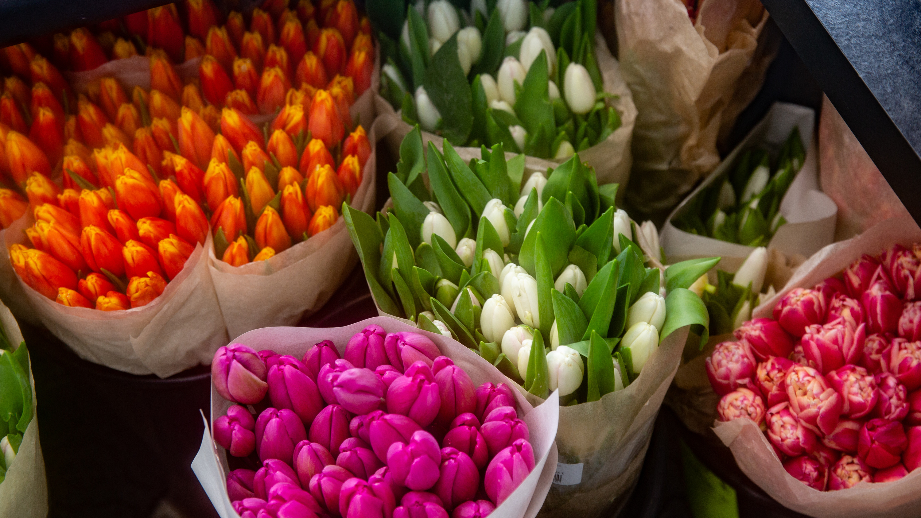 Сколько стоят тюльпаны на рынке. Букет из цветов которые долго стоят. Букет домашнее фото. Сколько стоят тюльпаны в Нижнем Новгороде.