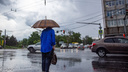Накроет гроза с дождем: ярославцев предупредили об изменении погоды