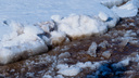 В Архангельской области начался ледоход: где он сейчас