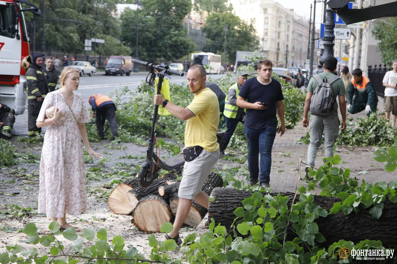 Трое погибших, сотни поваленных деревьев и десятки поврежденных машин: последствия урагана в Петербурге