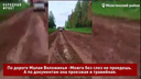 «Здесь что, по-вашему, не люди живут?!» Жители села в Можгинском районе жалуются на непроезжие дороги