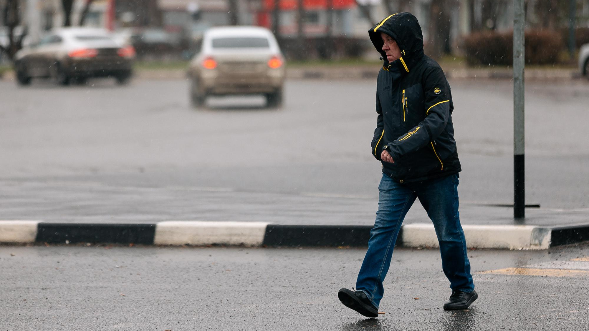 Дожди и потепление до <nobr class="_">+22 °C</nobr>. Синоптики рассказали о погоде в Воронежской области в последние выходные марта
