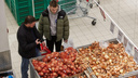 Мясо, капуста и игристое: на что и как выросли цены в Новосибирске — изучаем статистику