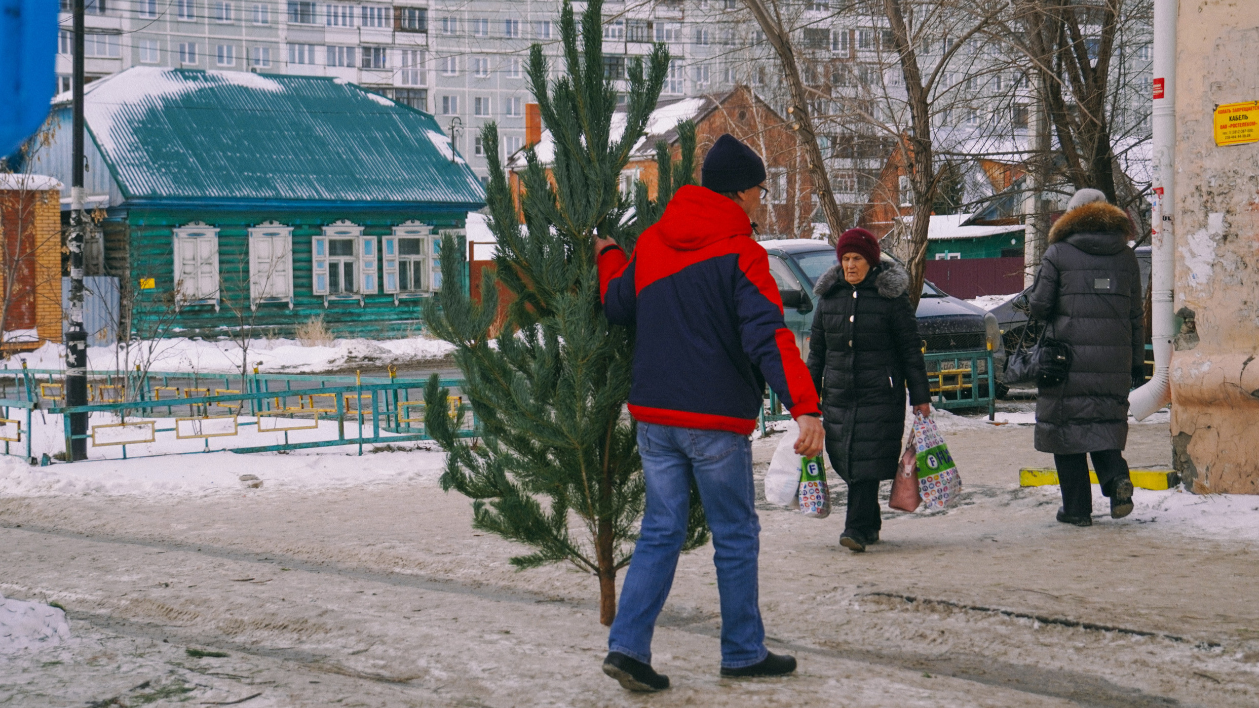 От 300 рублей за сосну: в Омске открываются елочные базары — карта и цены