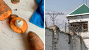 «Единственный шанс получить витамины»: заключенным в Самарской области запретили передавать свежие овощи
