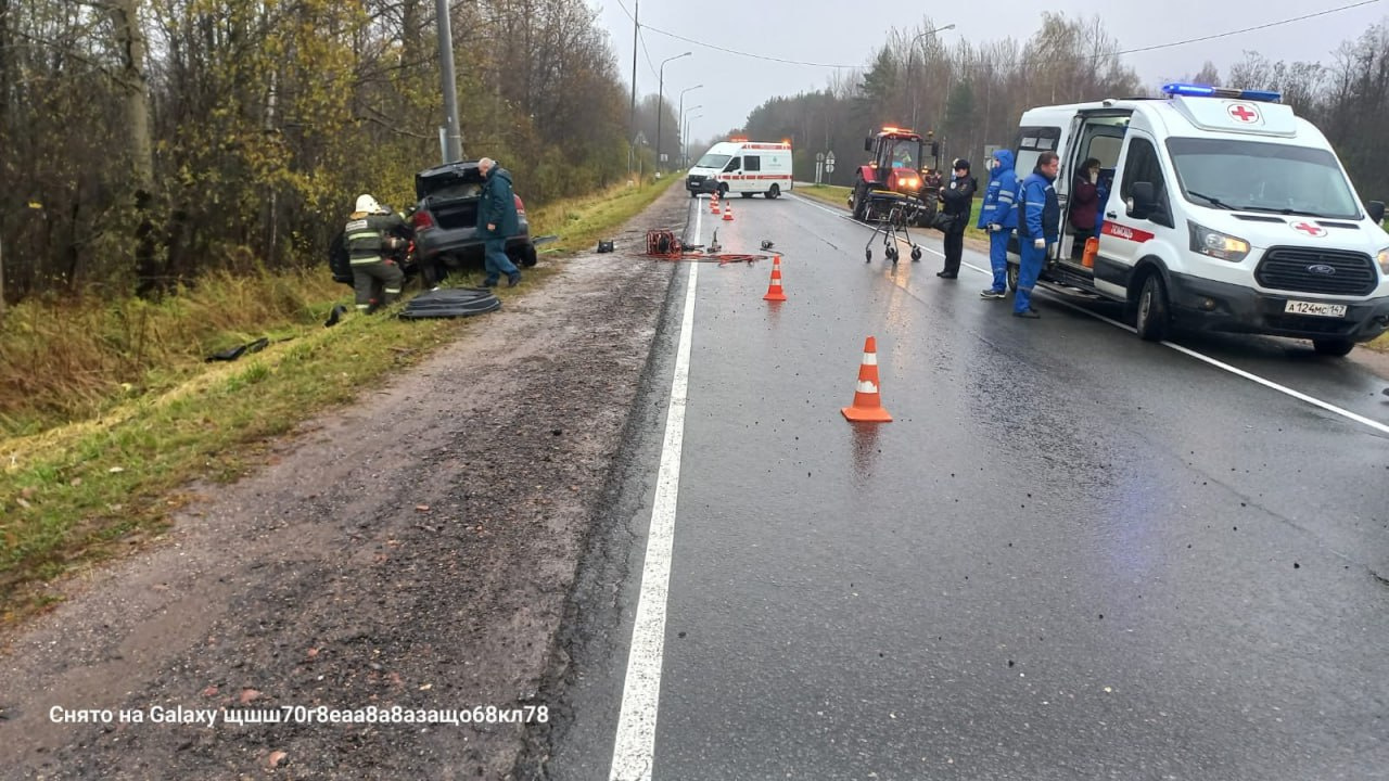 Водитель «Фольксвагена» влетел в столб и погиб на подъезде к Пикалево в  Ленобласти - 14 октября 2023 - ФОНТАНКА.ру