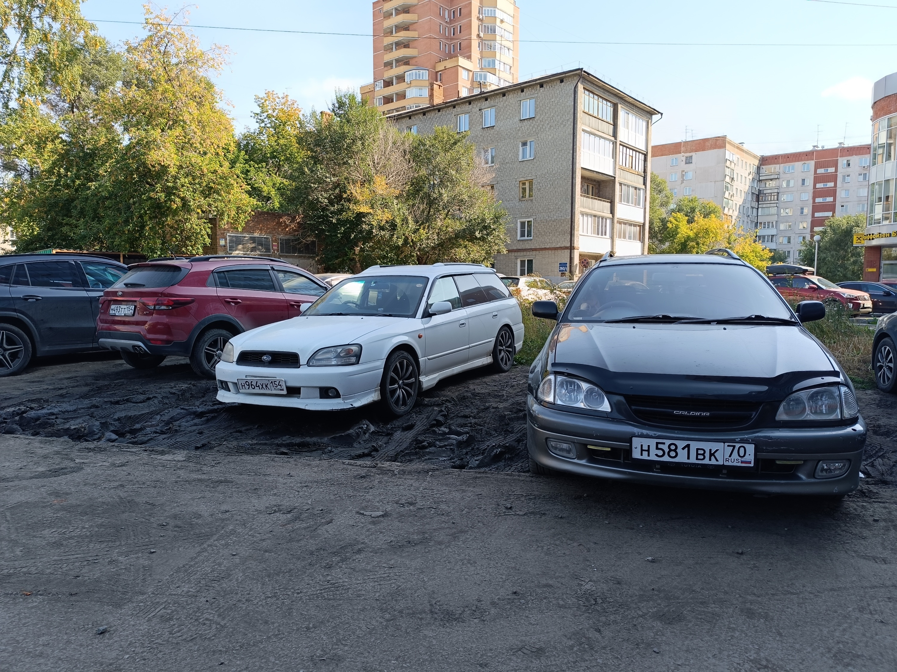 Хамы грязи не боятся Хамы грязи не боятся