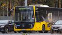 Учитывали мнение пассажиров: на популярном автобусном маршруте в Ярославле изменят расписание