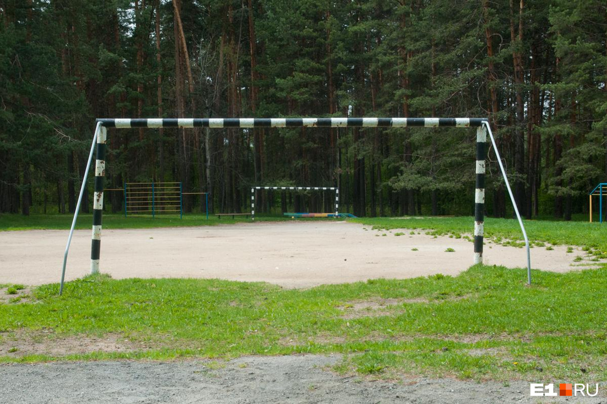 В Сочи житель Новосибирской области организовал незаконный детский лагерь -  3 августа 2023 - НГС