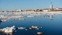 Время прибытия ледохода в Архангельск снова изменилось: когда его ожидать в городе