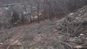 Мэрия Владивостока остановила незаконную вырубку деревьев