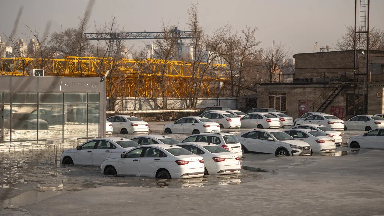 В Ростове на парковке автосалона тонут десятки новеньких машин — судя по всему, они принадлежат пермскому дилеру