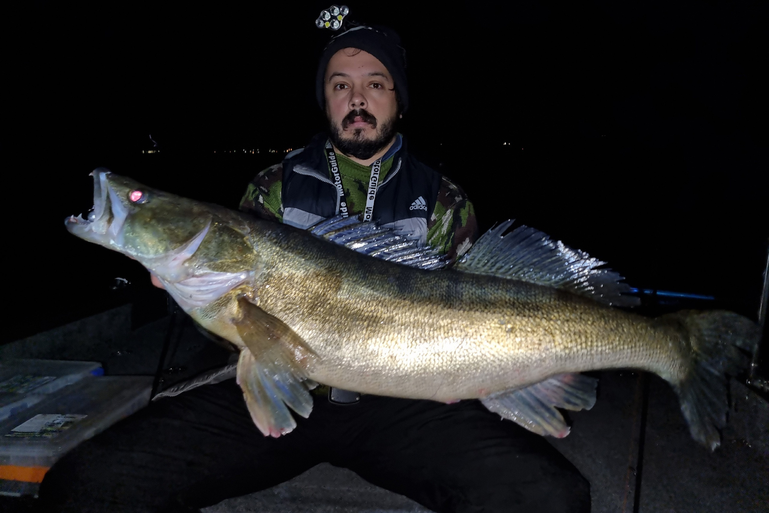 Самарский рыбак поймал в Волге гигантскую рыбу с клыками и горящими глазами  - 13 ноября 2023 - 63.ru