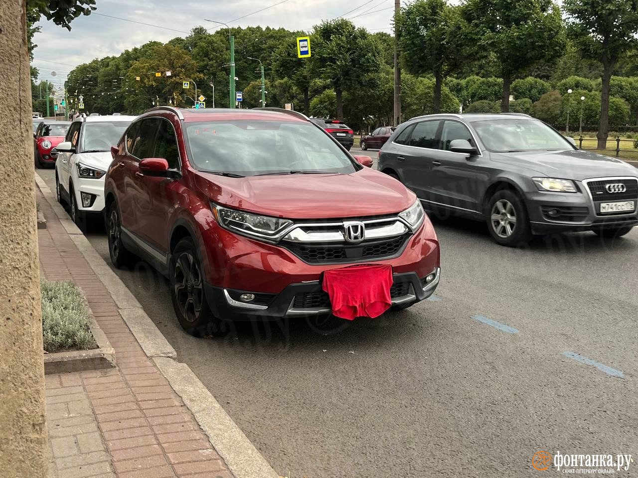 В Петербурге платная парковка оставила водителя буквально без трусов. Красных и черных