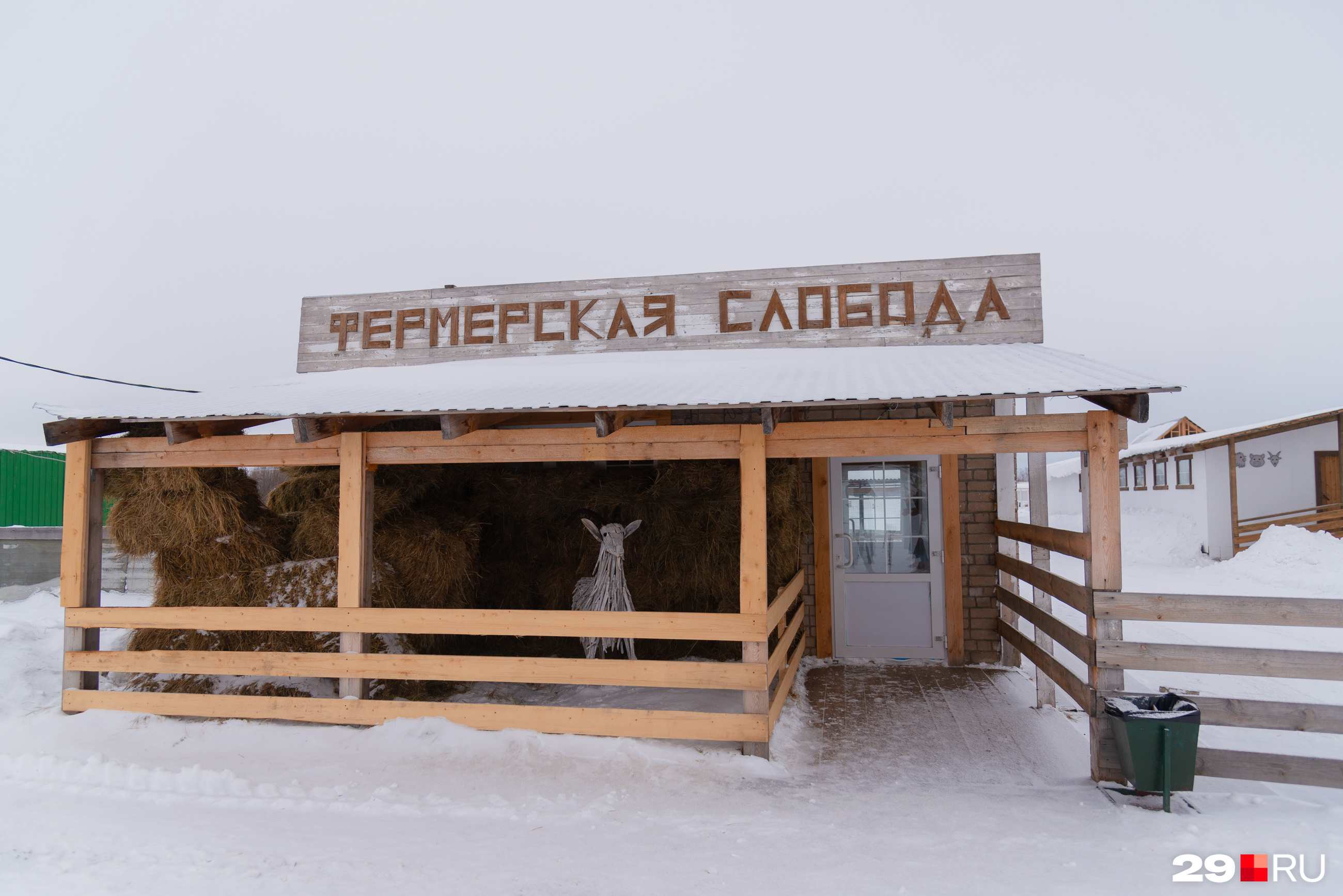 Гости фермы могут купить здесь, например, козье молоко, адыгейский сыр Гости фермы могут купить здесь, например, козье молоко, адыгейский сыр