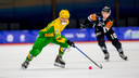 «Водник» поборется за третье место чемпионата России по хоккею с мячом