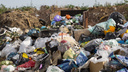 «Бордельеро, бардак. По-другому не назвать»: в Волгограде экосовет потребовал выгнать мусорного оператора