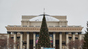 На площади Ленина поставили главную елку города — когда закончат украшать