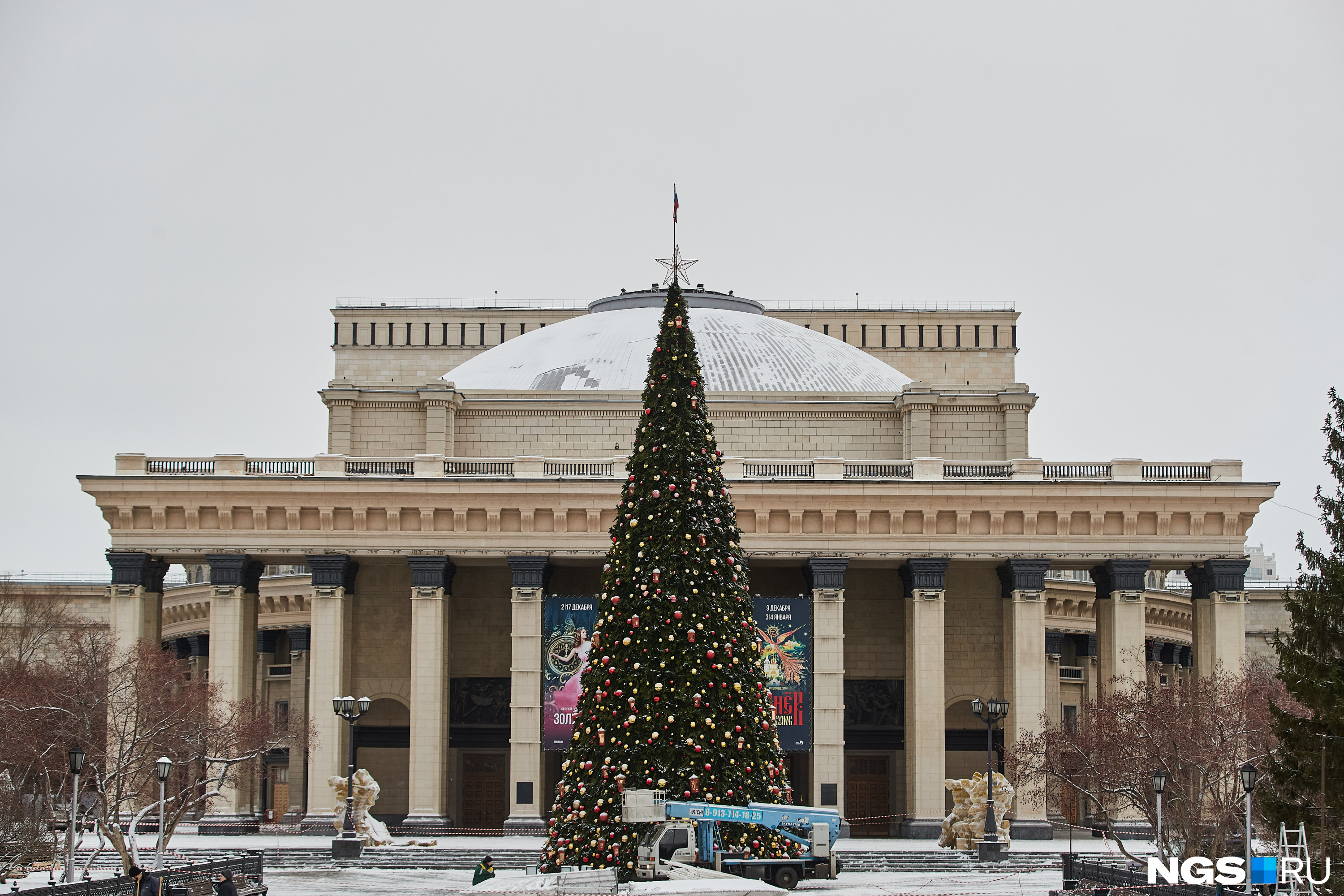 В Новосибирске на площади Ленина поставили главную елку города — что дальше  - 27 ноября 2023 - НГС