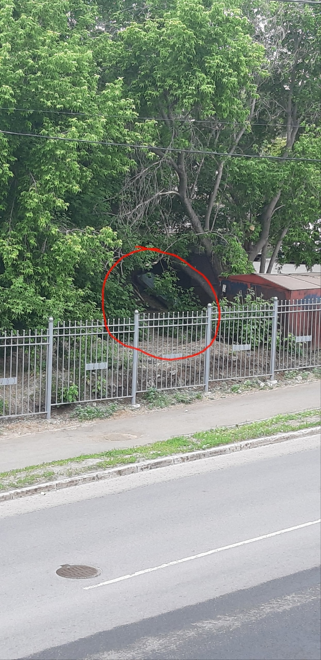 Рядом с этим местом проходит тротуар Рядом с этим местом проходит тротуар