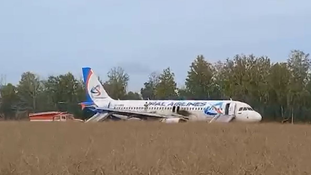 Почти 20 лет в воздухе: всё, что известно о самолете «Уральских авиалиний», севшем в пшеничном поле