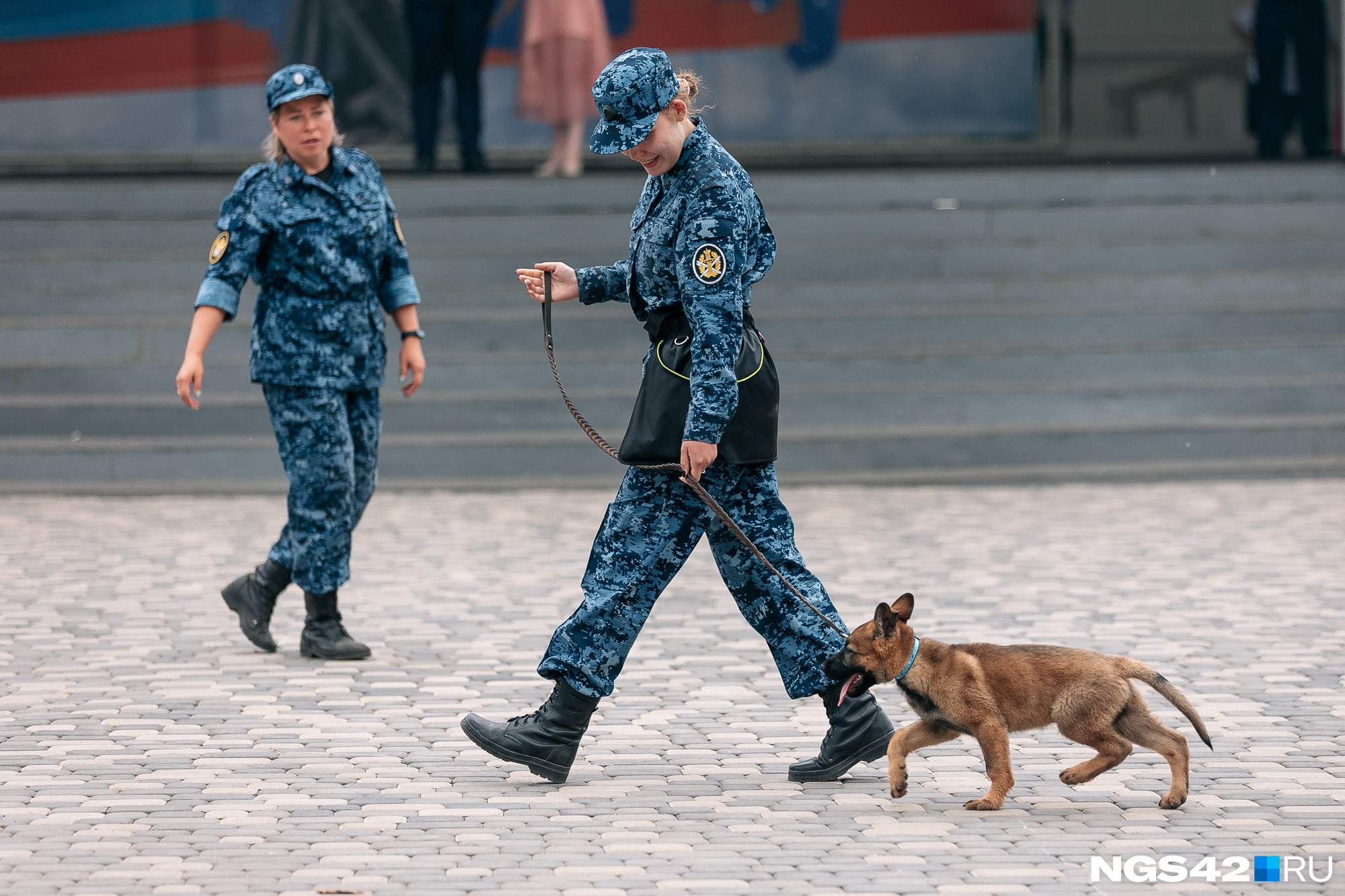 как дрессировать собаку в гта 5 чоп фото 114