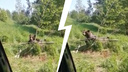 «Ай, красавец!»: в Ярославской области спасли медведя, провалившегося в деревенский колодец. Видео