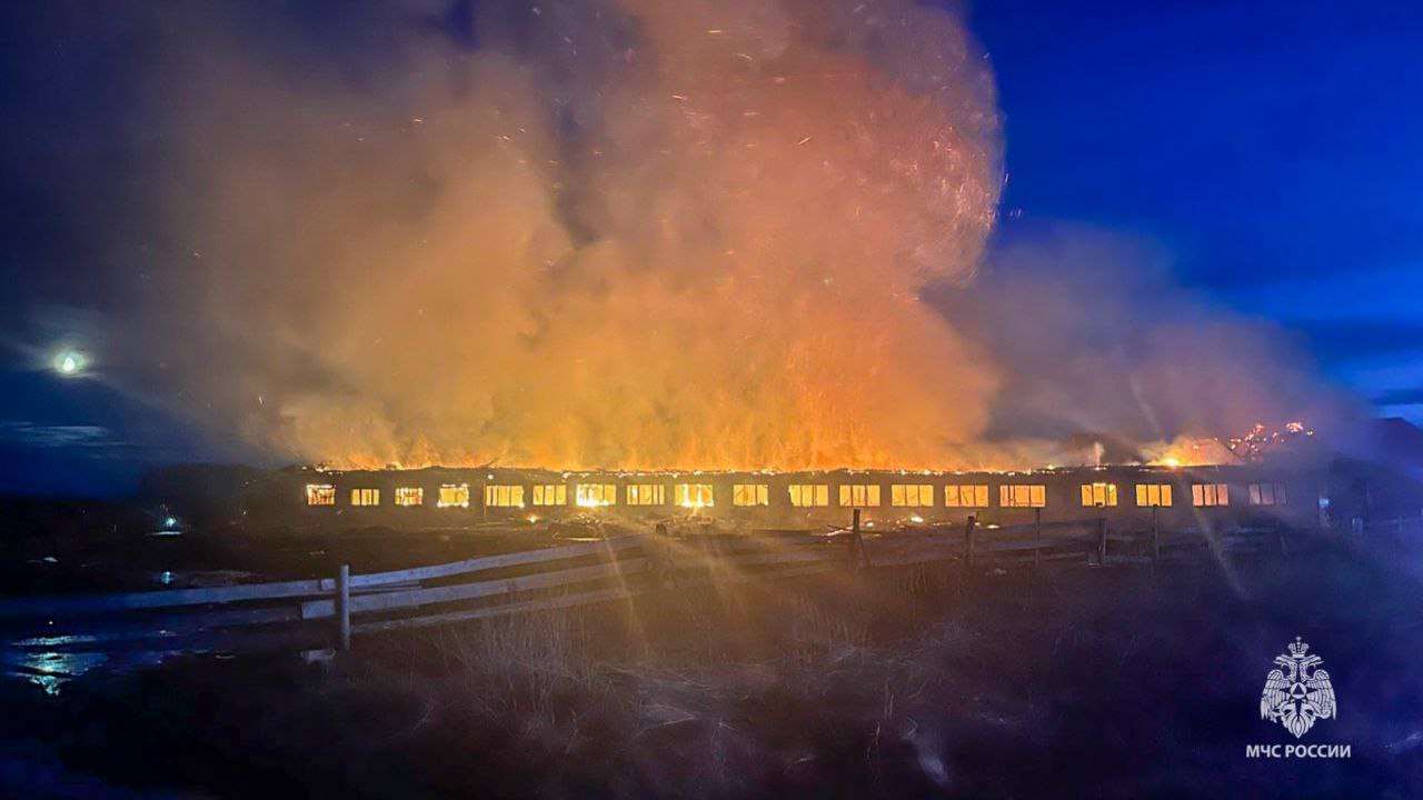 При пожаре на ферме в Прикамье погибли 10 коров: фото с места