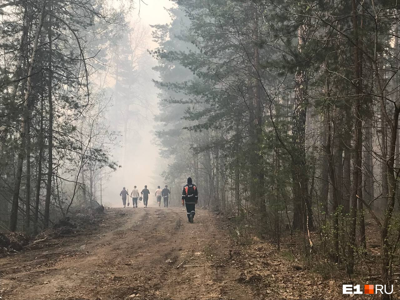 «Есть негодяи, которые стреляют в лес из ракетницы». Что известно о причине пожаров в Свердловской области