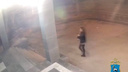 В Самаре ищут девушку, которая напала на здание гимназии с бутылкой. Видео