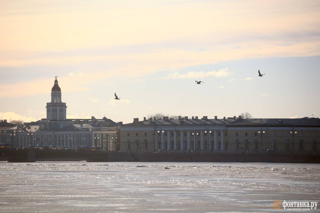 Петербург телеграмм