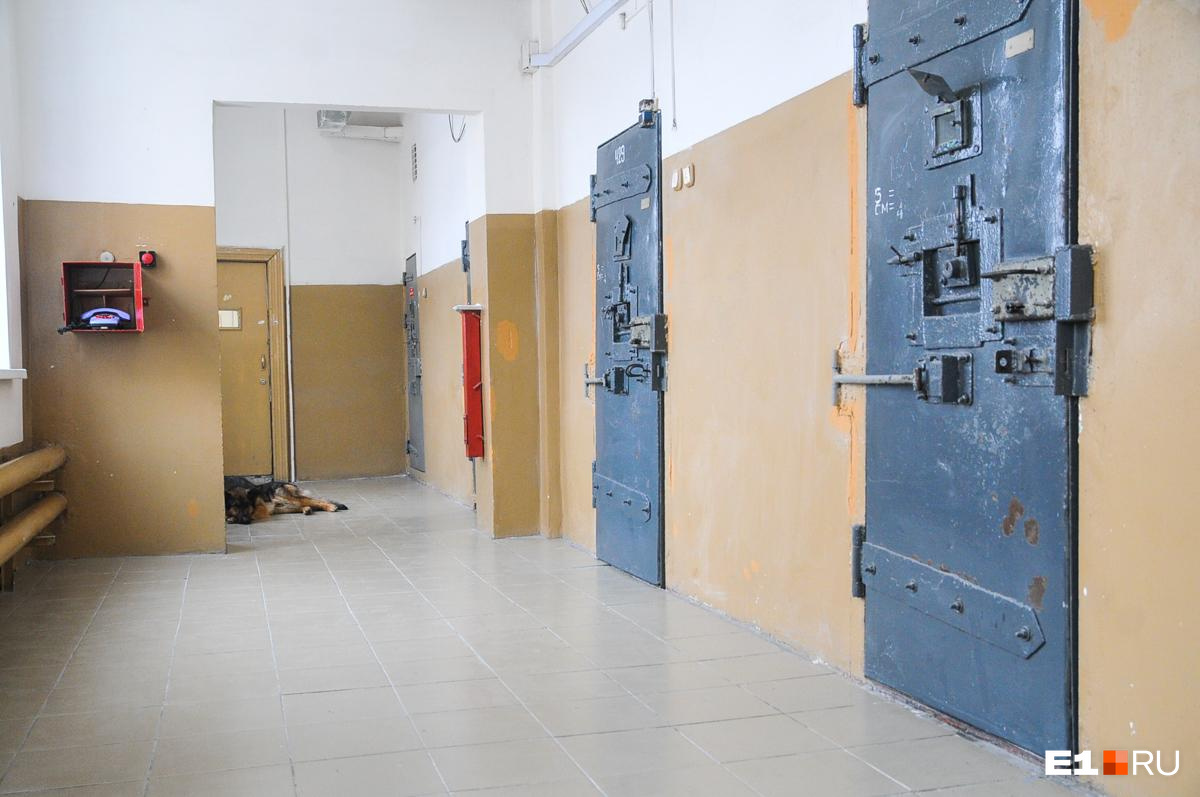 Школьницу, обвиняемую в призывах к терроризму, отправили в СИЗО в Чите